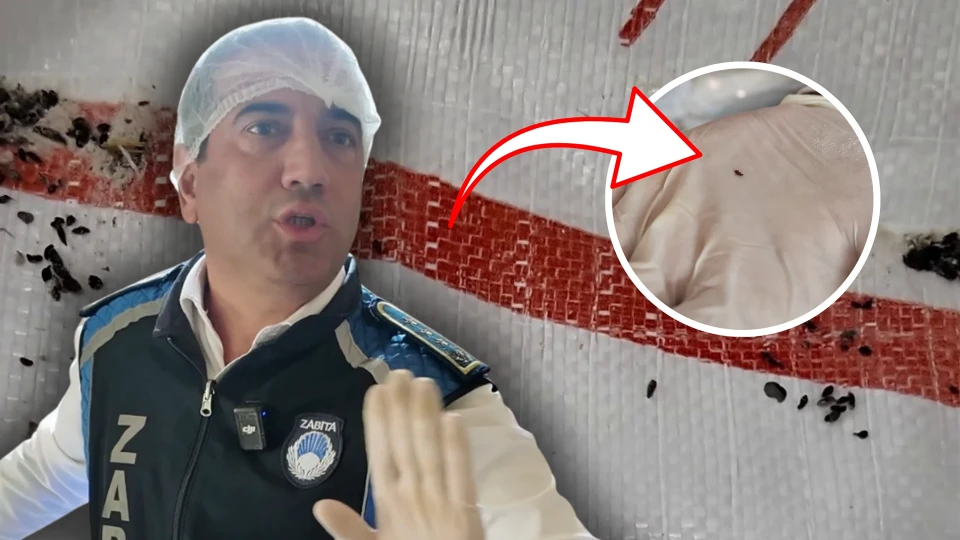 Fırın denetiminde mide bulandıran görüntü! Paletlerin altından çıktı: Zabıta müdürü bile gördükleri karşısında “midem bulandı” dedi